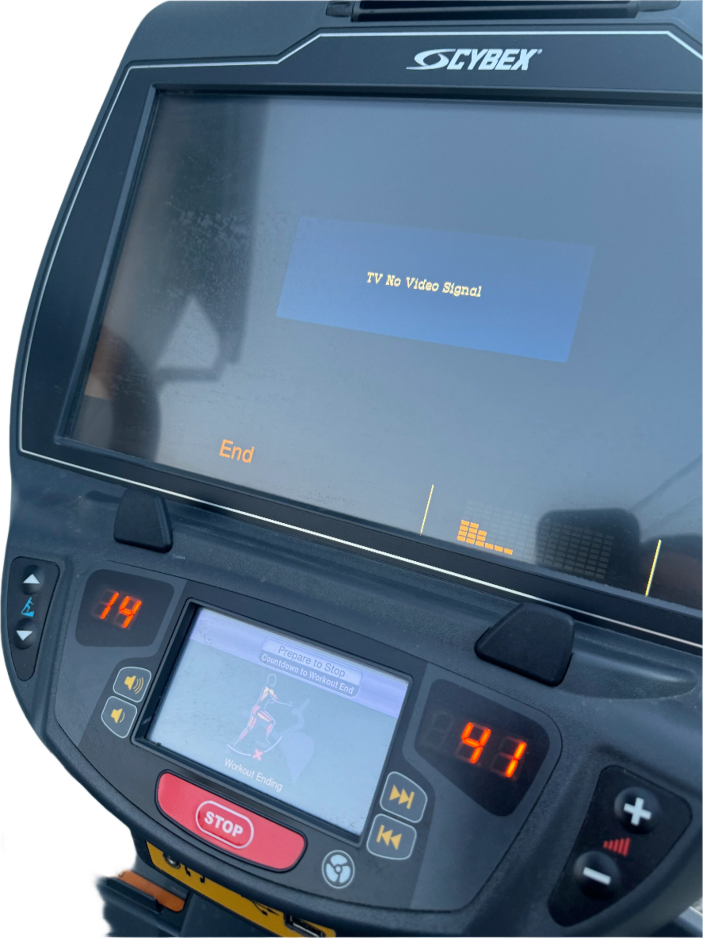 Cybex 772AT Arc Trainer - Total Body