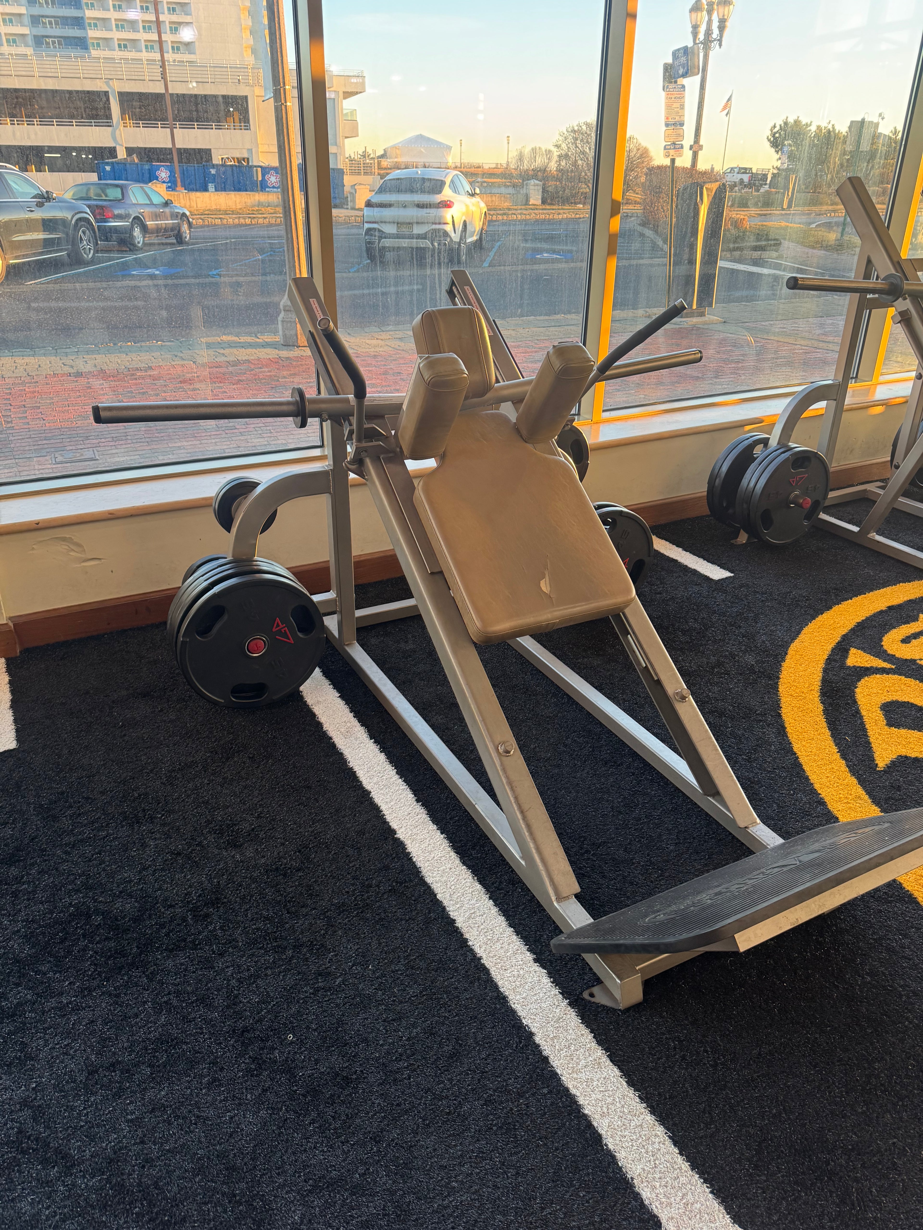 Flex Fitness Hack Squat