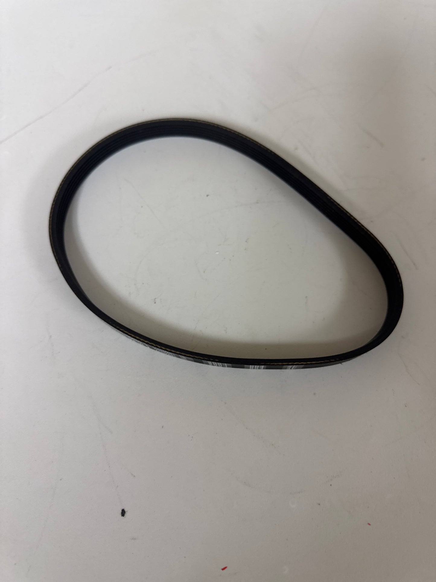 New 200J6 Drive Belt - Stairmaster, Nautilus, and Star Trac Stepmills & Gauntlets