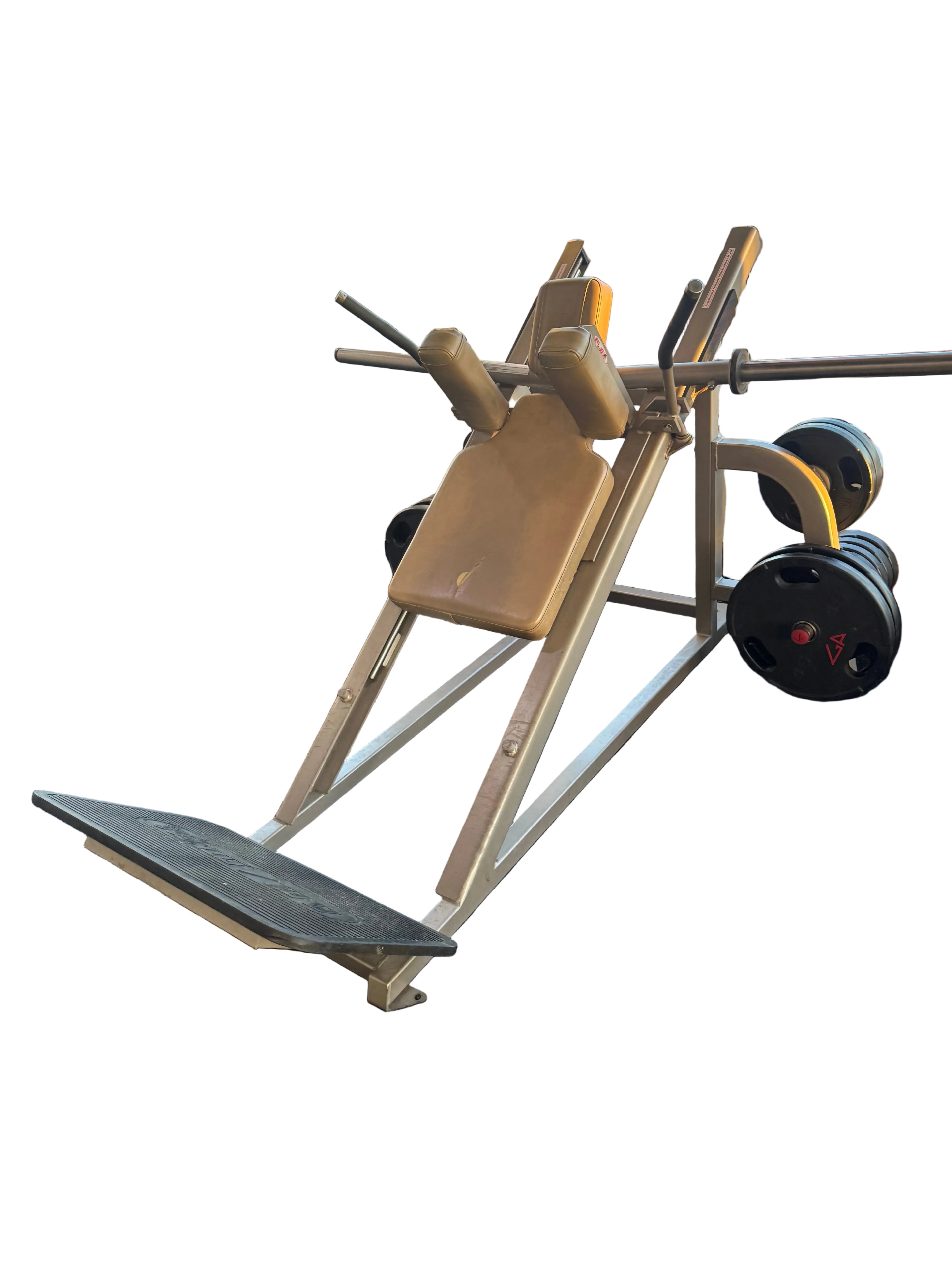 Flex Fitness Hack Squat